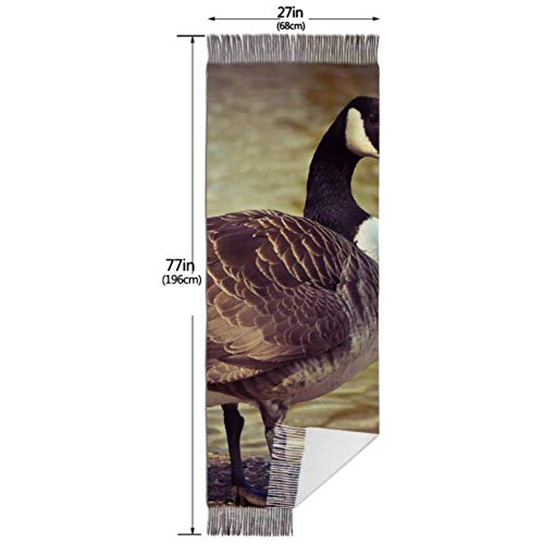 Bufanda de mantón Mujer Chales para, 27"x77" Lightweight Scarf With Fringe Goose Animal Bird Poultry Greylag Goose Gander Cashmere Large Scarf Designer Scarf Stylish Large Warm Blanket