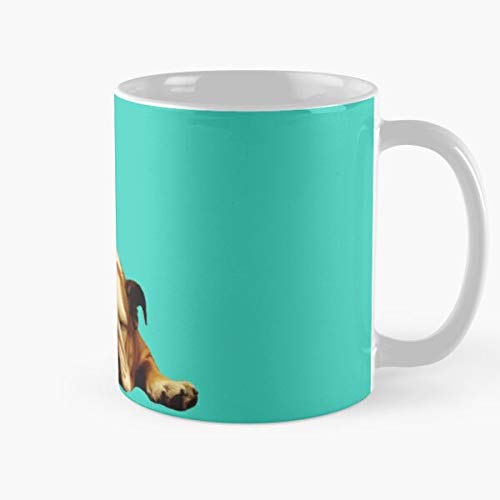 Bull Sleepy Dog Lazy Bulldog Puppy English Bum Taza de café con Leche 11 oz