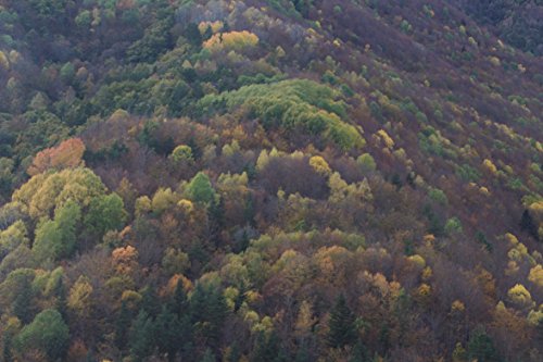 Canción de otoño