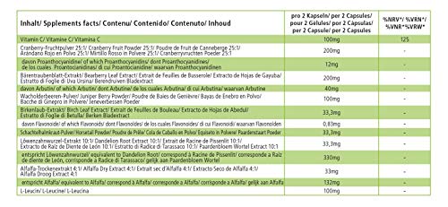 Cápsulas para los riñones - Nieren Kapseln - VEGANO - Dosis elevada - 60 Cápsulas - Calidad Alemana