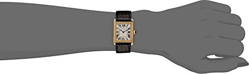 Cartier Tank Solo - Reloj (Reloj de Pulsera, Unisex, Acero Inoxidable, Oro, Cuero, Negro)