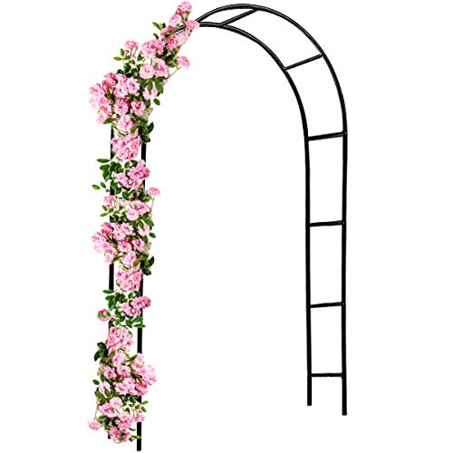 Deuba Arco Rosales y Plantas trepadoras enredadoras Metal pulverizado 240x140cm para jardín Exterior Eventos decoración