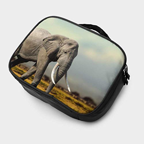 Elefante Africano Parque Nacional de Masai Mara Viajes Bolsa de Maquillaje pequeña Bolsa de Maquillaje para Mujeres Bolsa de Maquillaje Grande Bolsa Impresa multifunción para Mujeres