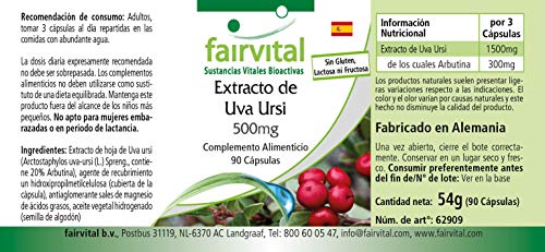 Extracto de Gayuba 500mg - Uva Ursi - Dosis elevada - 20% de Arbutina - VEGANO - 90 Cápsulas - Calidad Alemana