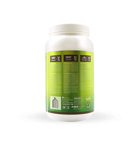 Goldnutrition V-Protein 1kg, Chocolate, Proteína Vegetal