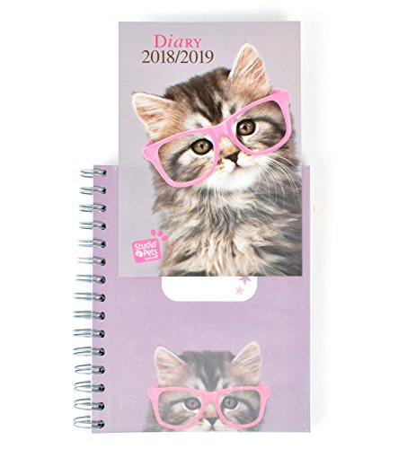 Grupo Erik Editores Studio Pets - Agenda escolar con diseño gato, 15.5 x 19 cm