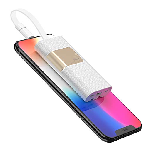 iWALK 10000MAH Power Bank con 18W Power Delivery Compacto Batería Externa Portátil Carga QuickCharge Tecnología Cargador Compatible para iPhone X 8 7 6 6s Plus, S9/S8/S7 Switch Macbook