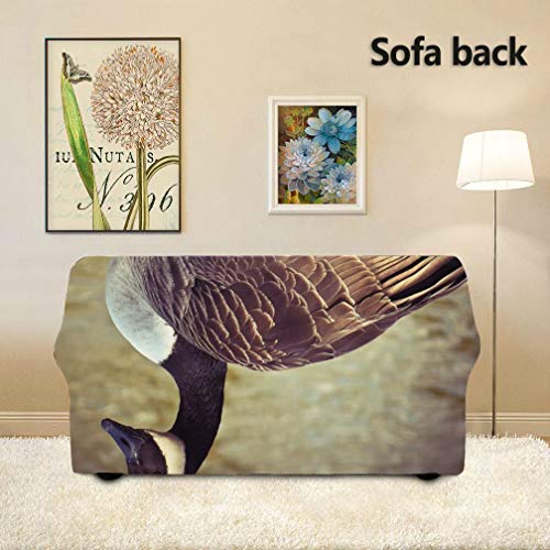 JOCHUAN Goose Animal Bird Poultry Greylag Goose Gander Foldable Sofa Cover Sofa Cover Stretch Fitted Furniture Protector 2&3 Seat Sofas