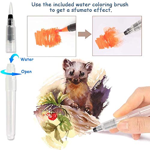 JORSHIMAN Rotuladores Punta Pincel, Rotuladores Pincel, Watercolor Brush Pen, Set de 24 Rotuladores Acuarelables y 1 Pincel de Agua - Punta Suave, No toxica, Reciclable