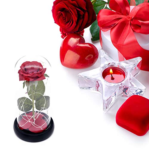 Kit de Rosas La Bella y la Bestia, Rosa de Seda roja y luz LED con pétalos caídos en la cúpula de Vidrio en la Base de Madera para la decoración del hogar Boda Cumpleaños Día de la Madre