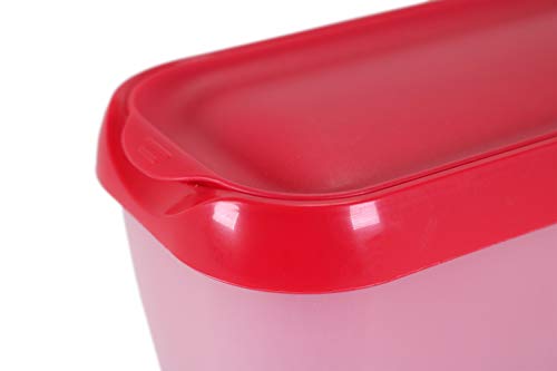 LIN Recipiente con Aislamiento para Conservar Helado con Tapa, 2 Piezas, Incluye Cuchara para Helado – Envase Rectangular Reutilizable Libre de BPA de 1,5L para Helado Casero, Sorbete o Yogur Helado