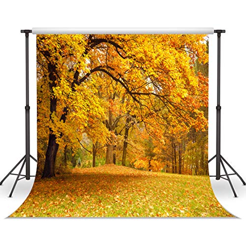 LYWYGG 10x10FT Hojas de Hojas caducas Naturaleza Fondo árbol y Hojas Doradas Paisaje de otoño Vinilo Fondo decúbito Estudio Prop decoración Fiesta Boda recién Nacido CP-63