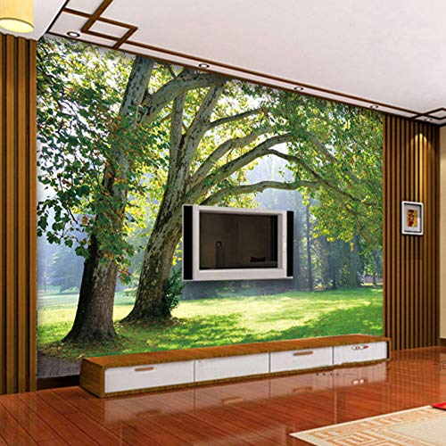 Murales de pared 3D Papel tapiz Paisaje Foros Sala de estar Bosque Paisaje Papel de pared Murales naturales Sala de estudio TV Telón de fondo Revestimientos de pared