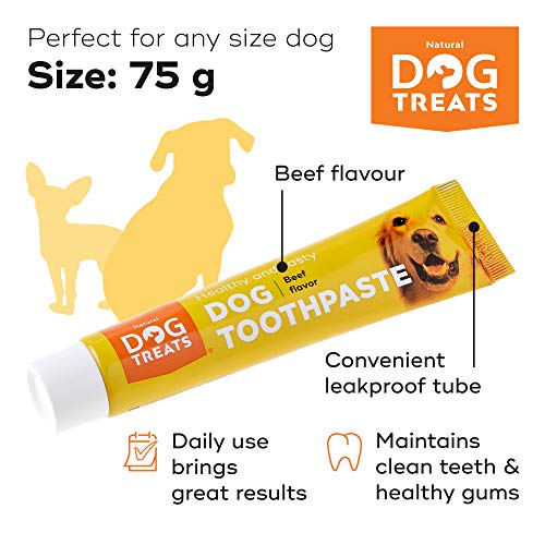 Natural Dog Treats Cepillo y 4X Dentífrico Set para Perros, Set Higiene Dental, Pasta de Dientes Sabor a Carne, Cuidado Dental Comestible