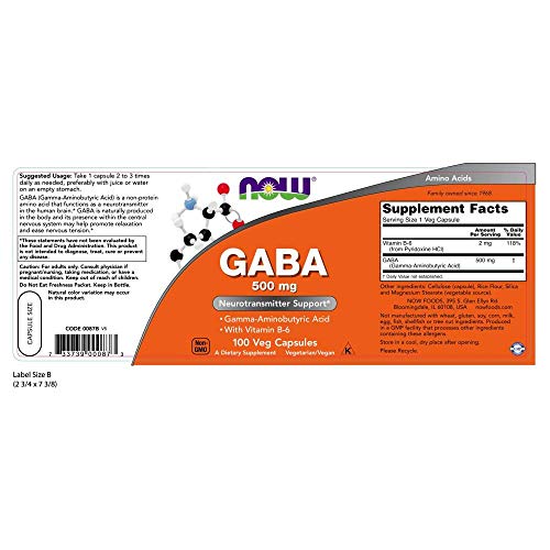 Now Foods Gaba 500mg Standard - 100 Cápsulas