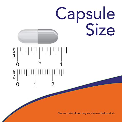 Now Foods Gaba 500mg Standard - 100 Cápsulas