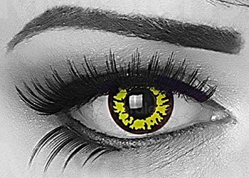 ntillas de color amarillo negro Yellow Wolf 1 par. Para Halloween Carnaval Anime, gratis estuche de lentillas sin graduación