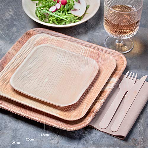 Plantvibes Platos de Hoja de Palma Naturales, 100% compostables & CO2-neutral - 25 Piezas de 15 x 15 cm - Platos de Madera, Vajillas de Madera