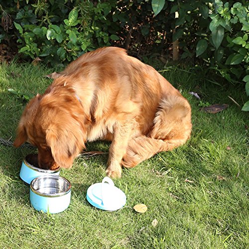 Portable Comedero y Bebedero para Viaje Acero Inoxidable Bowl Kit para Perros y Gatos Cuenco para Agua y Comida Prueba de Derrames Contenedor de Alimentación para Viajes al Aire Libre (3 en 1) (Dos)