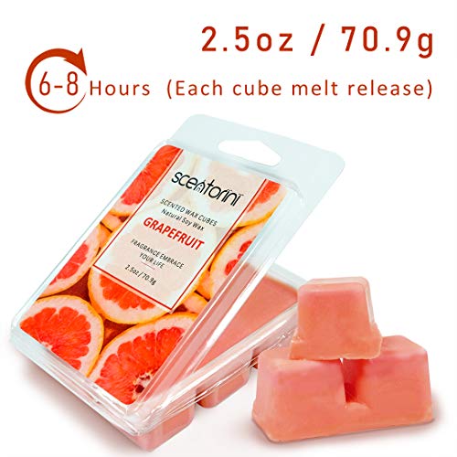 SCENTORINI Cubos de Cera para fragancias, 100% Cera de SOYA derretida para lámpara de Fragancia, Pomelo, Flor de Cerezo, Jacinto Forestal y Plumeria, 70.9 g x 4 Piezas