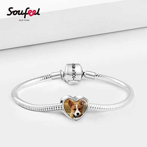 SOUFEEL Abalorio Charm Pulsera de Foto Personalizado Plata de Ley Navidad Cumpleaño y Aniversario para Madre Mujer Niña