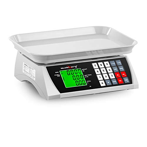 Steinberg Bascula De Control Balanza Digital SBS-PW-301CA (hasta 30 kg, Precisión De 1 g, Plato De Pesaje De 28,8 x 21,8 cm)