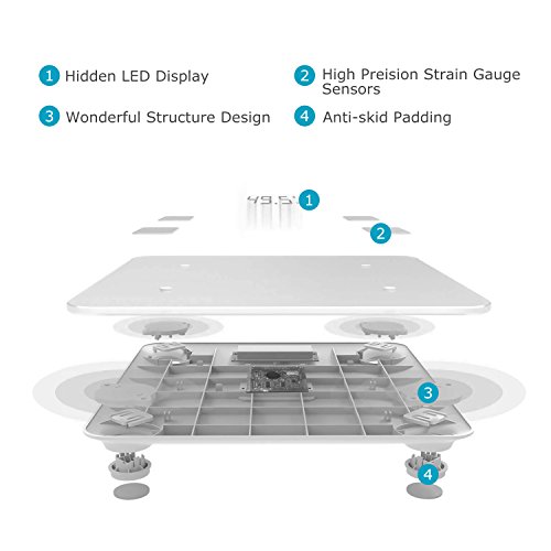 Vigorun Báscula de Baño, Bluetooth Báscula Digital Grasa Corporal con 17 Indicadores de Medición Inteligente Balanza Peso Baño con APP para Músculo, IMC, BMR, Tasa de proteína, Masa Ósea, max 180kg