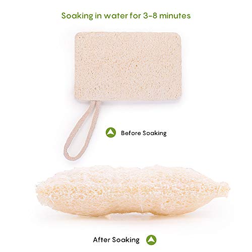 10 Piezas Loofah Esponja, Loofah Para Lavar Platos, Natural Esponja Estropajo, para Cocina, Biodegradable, Cero Residuos(7*11 cm)