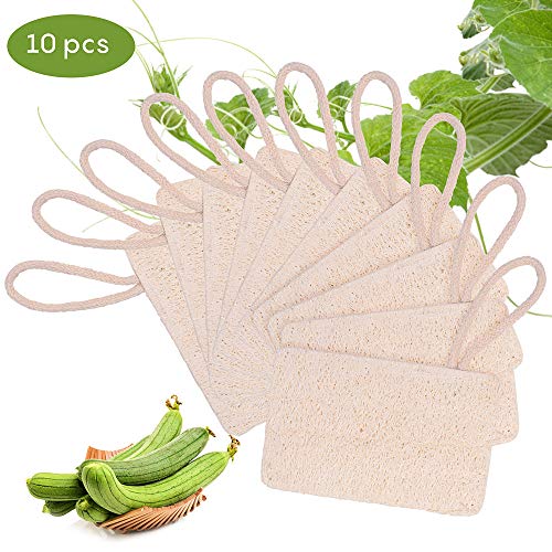 10 Piezas Loofah Esponja, Loofah Para Lavar Platos, Natural Esponja Estropajo, para Cocina, Biodegradable, Cero Residuos(7*11 cm)