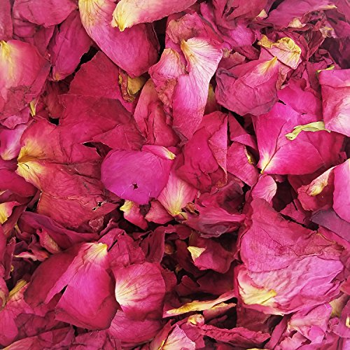 100 Gramos de Pétalos de Rosas Secas Rojo Real Flor de Pétalos de Rosa para Baño de Baño de Pie Confeti de La Boda Accesorios de Artesanía