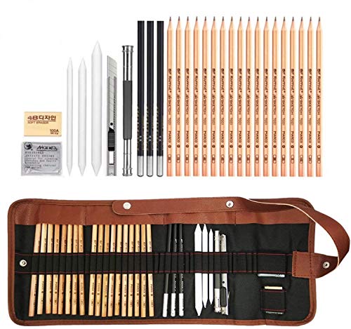 29 Pieza MEIRUIER Set de Dibujo Artista Kit con Lápiz Carbón Grafito Goma Cuchillo con Bolsa para Estudiantes Principantes Profesionales Niños Adultos,Set de Artista para Bosquejo