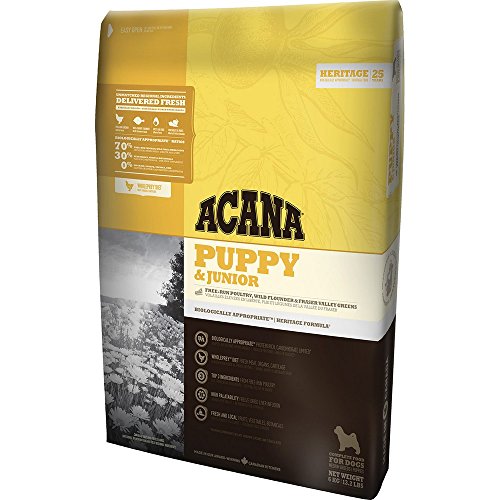 ACANA PUPPY & JUNIOR comida para perro 11,4 KG 1 Saco