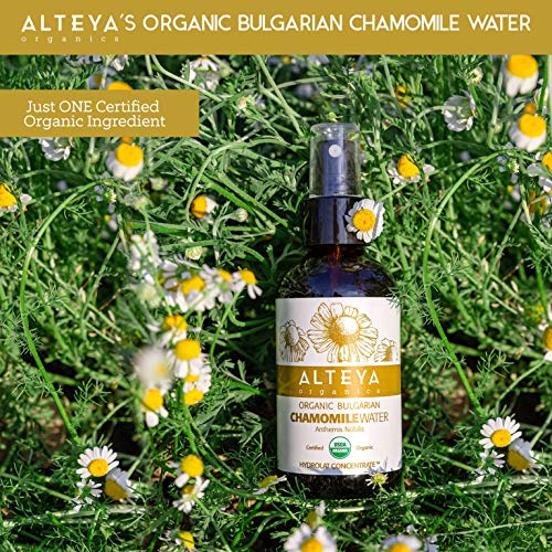 Alteya Botella de agua de manzanilla orgánica de 240 ml - USDA certificado orgánico floral agua vapor destilado de frescas Anthemis Nobilis flores - hidratante, calmante y calmante