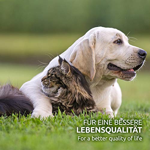 AniForte Ear Cleaning Pads Perros y Gatos (100 Unidades) - toallitas limpiadoras Extra Suaves, toallitas húmedas para la higiene de los oídos, Cuidado Suave de los oídos