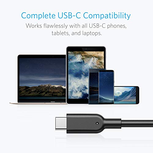 Anker Powerline II USB-C to USB 3.1 - Cable USB (0,9 m, USB C, USB A, 3.1 (3.1 Gen 2), 10000 Mbit/s, Negro)