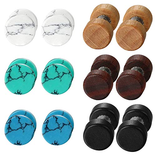 Aroncent - Pendientes de Tuerca de Acero Inoxidable para Mujer y Hombre, 6 Pares de Tapones Falsos