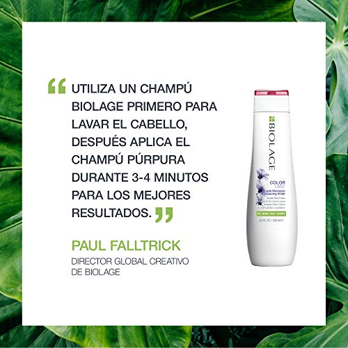 Biolage Purple Champú Colorlast - 250 ml