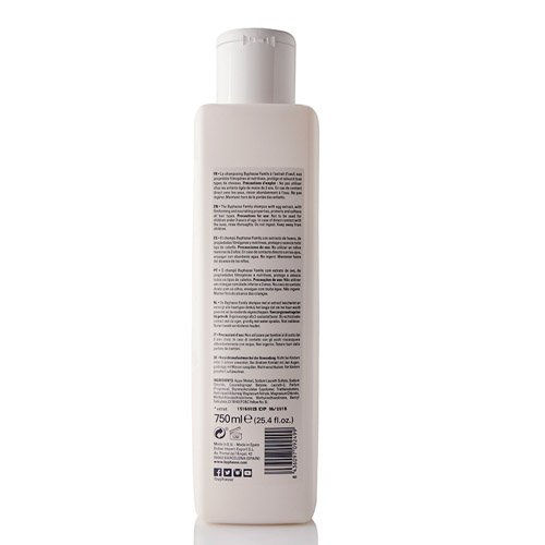 Byphasse Family - Manteca de karité y miel para cabello seco y dañado, 750 ml