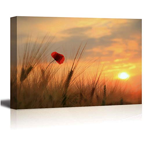 Carácter moderno Obra de Arte Estampados Coucher Soleil Sur Champ Coquelicots Hogar Baño Oficina Deco 28x20 Pulgada