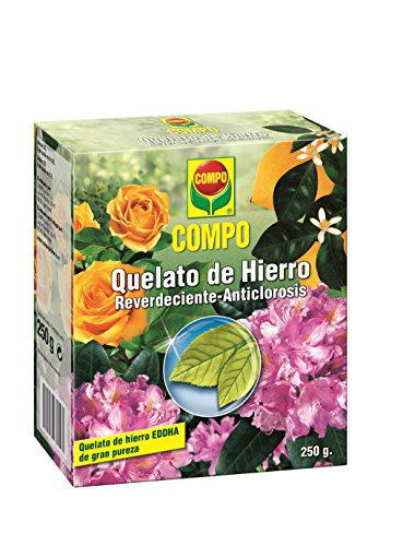 Compo Quelato, Reverdeciente anticlorosis, EDDHA 13% Hierro Soluble en Agua, Incluida Cuchara dosificadora, 250 g, 2219602011