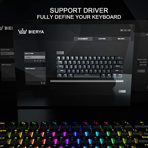 Dierya DK61E 60% Teclado mecánico para Juegos, Teclado PBT con Cable RGB retroiluminado Impermeable Tipo-C Intercambiable en Caliente Compacto 61 Teclas Teclado de computadora(Interruptor Rojo)