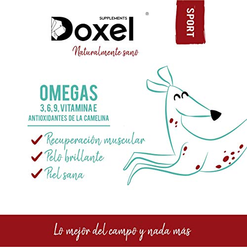 Doxel Sport -500ml Aceite para Perros | Suplementos Naturales nutricionales | Antioxidantes| Recuperación Muscular| Articulaciones sanas |Sistema inmunitario Reforzado| Canicross| Agility| Mushing