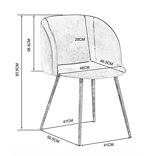 EGGREE Pack 2 Sillón Lounge Terciopelo Vintage, Silla de Comedor/Cucion con Patas Metálicas Fuertes y Tela de Terciopelo Sedoso - Rosa