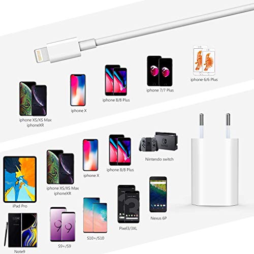 Everdigi Cargador Enchufe Adaptador USB + Cable de Carga para iPhone 5 6 S 7 8 X S Plus (1m) (Blanco)