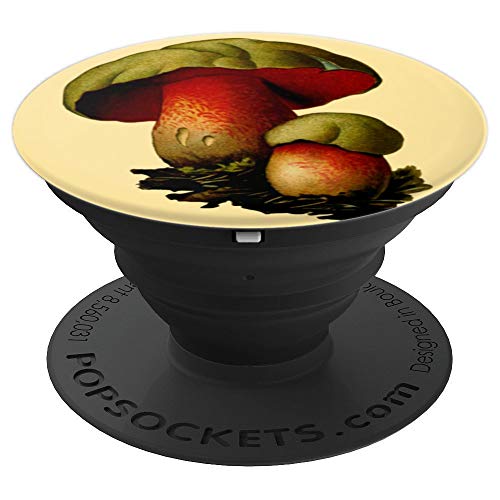 Expanding Stand and Grip - Vintage Poppy Flower PopSockets Agarre y Soporte para Teléfonos y Tabletas