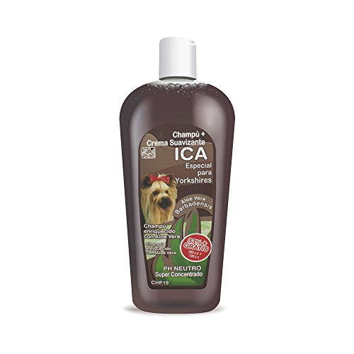 ICA CHP19 Champú con Aloe Vera para Yorkshire