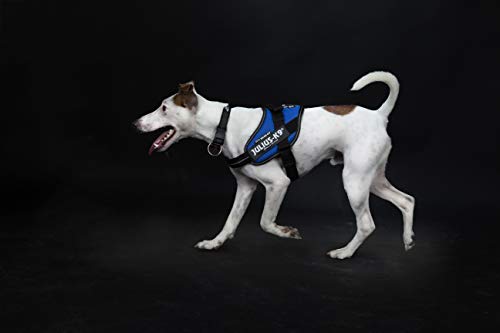 Julius-K9 16IDC - Power Harness