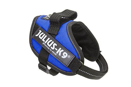 Julius-K9 16IDC - Power Harness