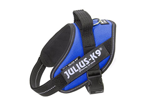 Julius-K9 16IDC - Power Harness