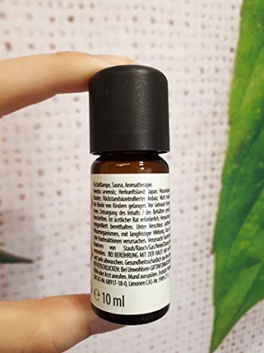 Kräutermax Aceite de menta japonesa 1 x 10 ml de aceite esencial